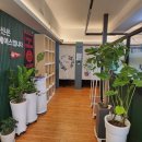 강남구 도곡동 스터디카페 독서실 에이스스터디카페 도곡점 리뷰 버스정류장 가는길
