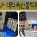 태백축산물백화점 이미지