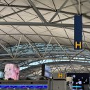 580 | 한국 인천 - 중국 남경 난징 동방항공 MU580 탑승후기 및 중국 전자 입국신고서 작성방법