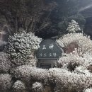 바른빛에너지 이미지