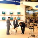 삼성애견 이미지