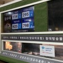 [인천/송도]수상레저 반려견동반 문보트 탑승후기 신데렐라보트 패밀리보트