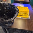 둔원초등학교 | 대전 갈마동 조개찢고 회뜬다 신선한 조개가 무한리필? 배터지게 조개 먹는 식당