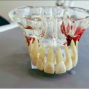 반듯한치과의원 이미지