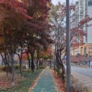 구로-구로-구로-2237 | [주간일기 챌린지] 11월 2주차 (221114~1120)