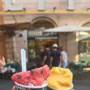 분수광장약국 | [유럽/이탈리아]DAY10~DAY11. 250614~250615 로마시내/콜로세움/젤라또/트레비 분수/로마3대커피