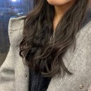 사임당로공원 내 | 눈 감았다 떴더니 연휴가 사라져서 슬픈 직장인의 1월 일상 모음집