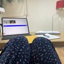 2월의 어느 요일들