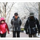 대박감자탕 이미지