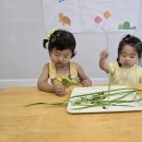 단오 궁기와 창포잎 이미지