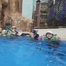 강호 해솔 태권도 이미지