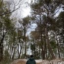 금성산성오토캠핑장 이미지