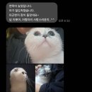 동물보육원 청주지부 이미지