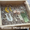흥덕2로 | 편백회관 용인흥덕점 흥덕샤브샤브와 편백찜 배터지게 먹은 후기