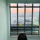 오이도수산 | 오이도수산시장 도다리·갑오징어 가격 후기 | 노을 보며 회 먹기 좋은 곳 | 성남호수산, 보라수산