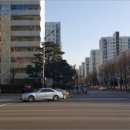 강남-207 이미지