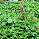 염색공간 이미지