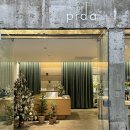 피다(Pida) 이미지