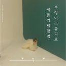부엉이 스튜디오 | 부엉이스튜디오 후기 l 세돌 생일기념 주니어촬영 그리고 가족사진 찍고옴