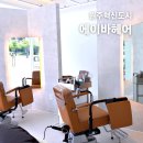 혁신남자커트 | 원주반곡동미용실 에이바헤어 원주혁신점! 남자머리 염색 내돈내산 후기(풀케어 이벤트 중)