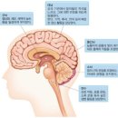 사랑이유통 이미지