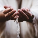 “교회의 세례 사역” 이미지