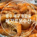 동문대로 | 광주 북구 두암동횟집 추천, 물회가 너무 맛있는 ‘혜자로운 수산’, 왕새우구이 솔직후기