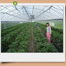 명훈농장 이미지