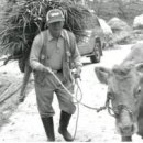 희망2행정사 이미지