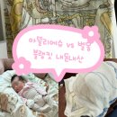 벨몽 | 아기 블랭킷 추천 아뜰리에슈 벨몽 블랭킷 내돈내산 후기