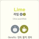 화이트펜슬스터디카페 이미지