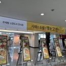 궁궐 그림으로 노닐다 이미지