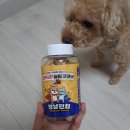 멍냥펀치 | (강아지 간식) 레디펫고 &#39;멍냥 펀치 면역업 슬림 코코넛&#39; 쿠팡 반려동물 간식 후기(다이어트 간식)