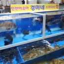 인천아줌마경미네