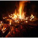 청산농원 이미지