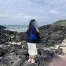 가족 제주도 여행 3박 4일 (1)｜함덕해변, 섭지코지, 숙성도, 베케, 은희네 해장국