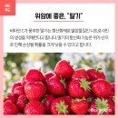 당근푸드 이미지