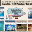 스타패밀리 엔터테인먼트 이미지