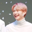 귀여워, 댕댕이 이미지