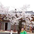 석운사 이미지