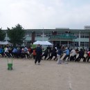 화랑초등학교 이미지