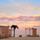 나인비치37 이미지