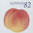 베이지 꽃 이미지