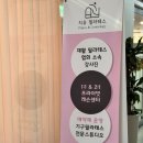 치유필라테스 이미지