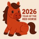 호박나이트 이미지