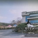 옥천화왕산민박 이미지