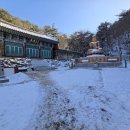 사.코 이미지