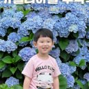 벨룸(Velum)리조트 이미지