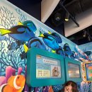 씨 라이프 | 나고야 가볼 만한 곳 씨 라이프 동물의 숲 콜라보 후기 | 기간, 굿즈, 데이트 솔직 리뷰