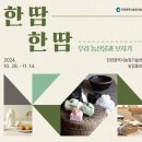 예술과땀